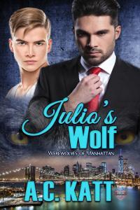Julio's Wolf book cover