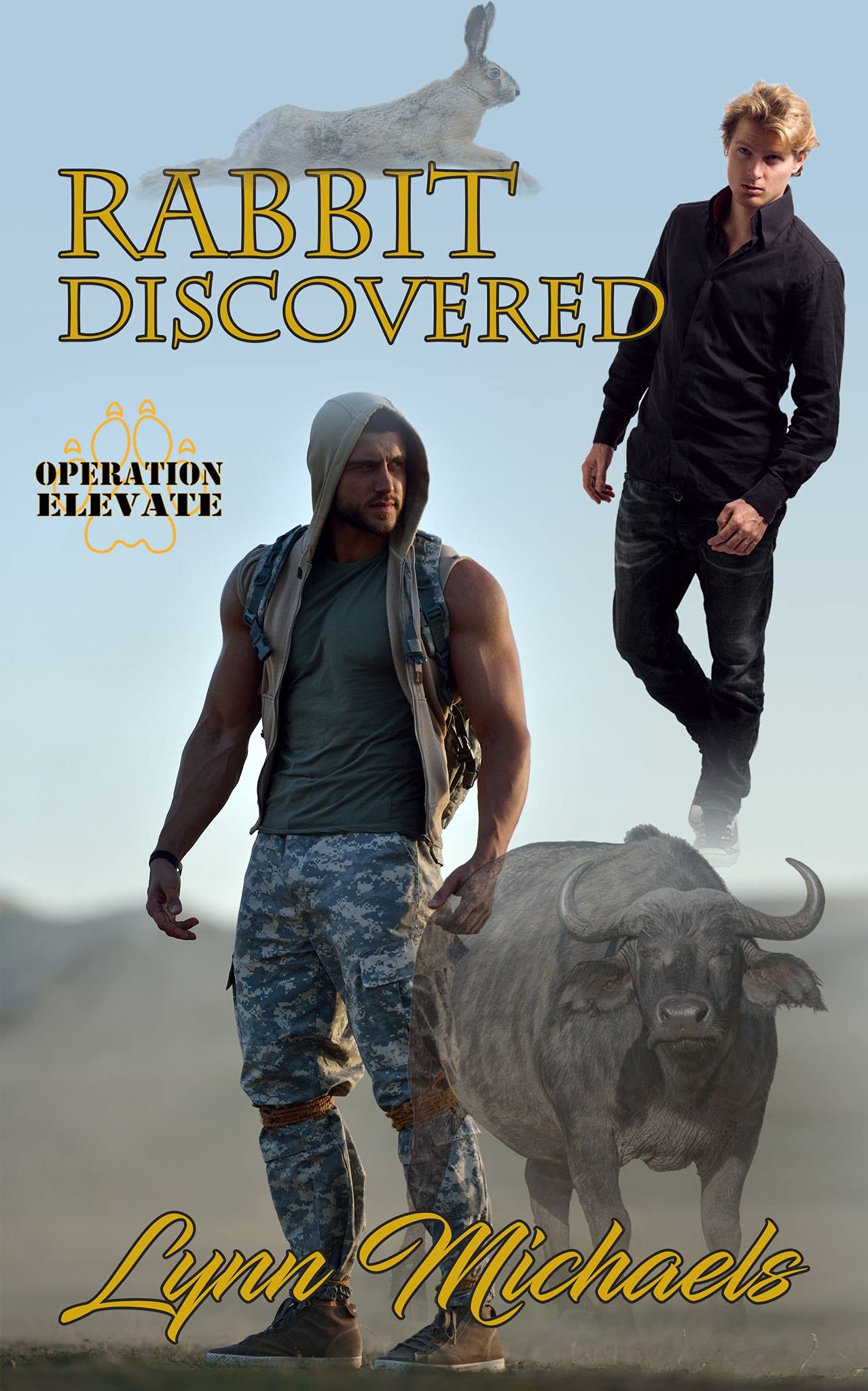 Rabbit Discovered book cover