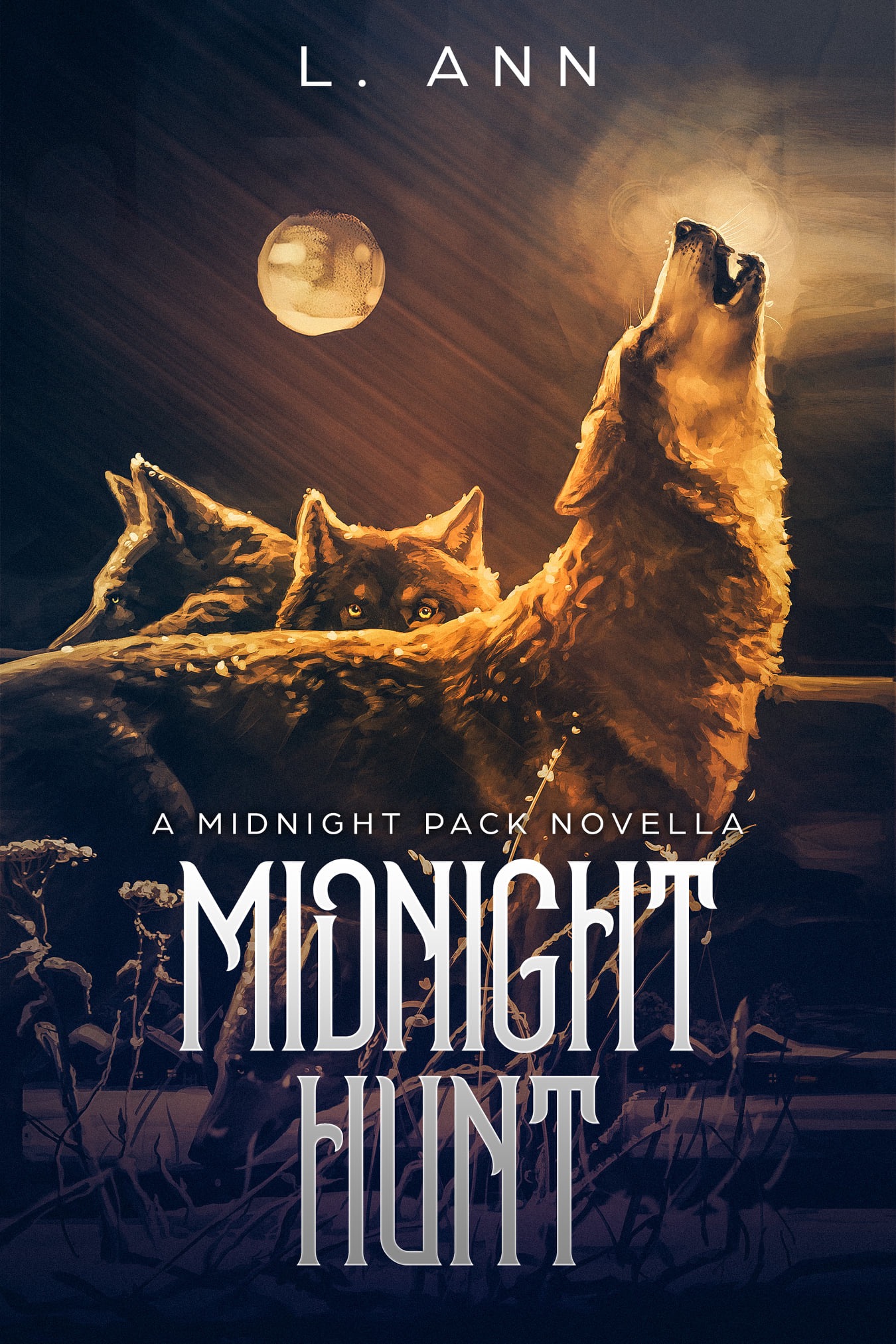 Midnight Hunt book cover