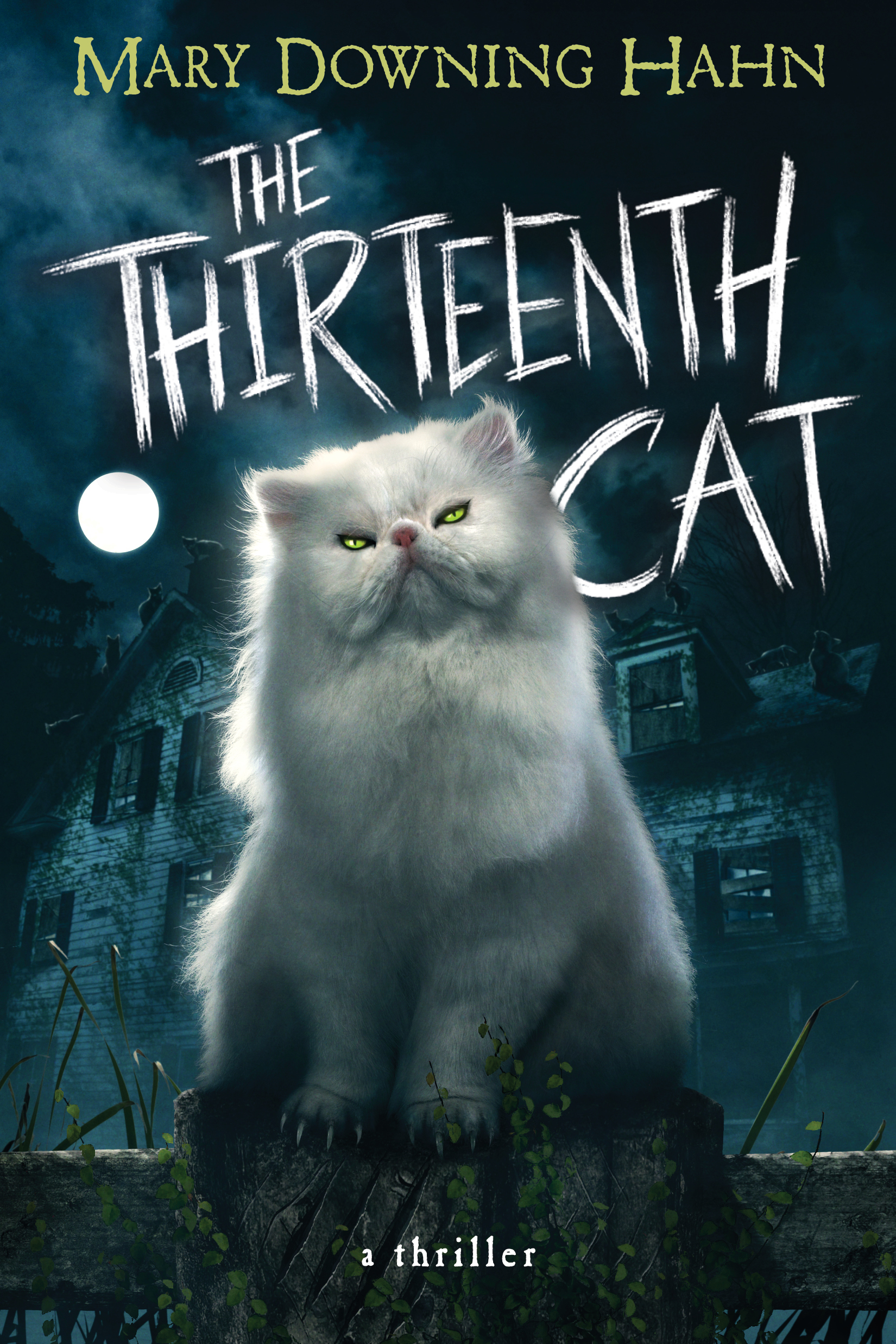 The Thirteenth Cat book cover
