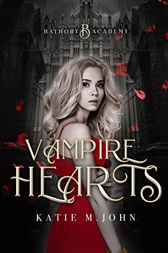 Bathory Academy book cover 1