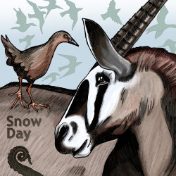 Snow Day book cover