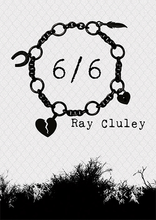 6/6 book cover