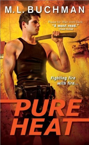 Firehawks book cover 1