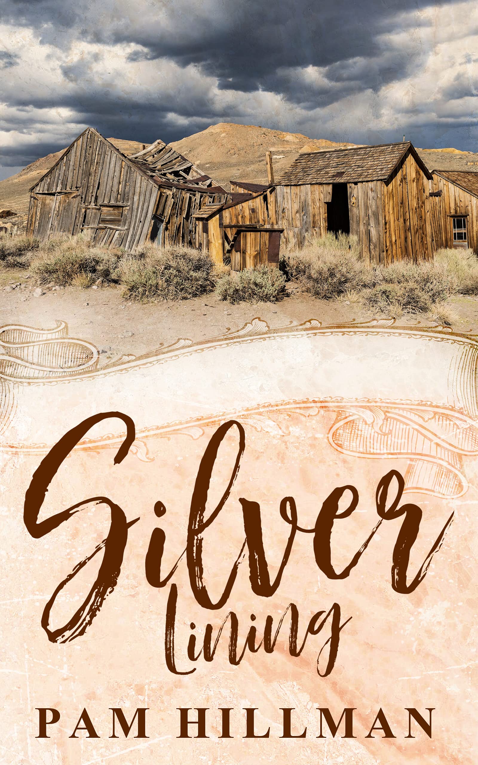Silver Lining book cover