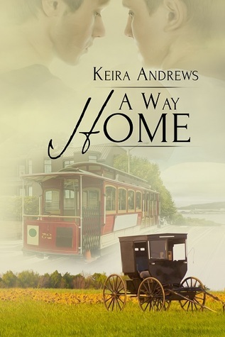 Gay Amish Romance book cover 3
