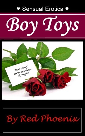 Sensual Erotica book cover 2