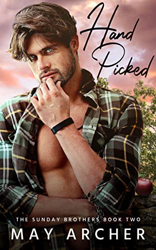 Sunday Brothers book cover 2