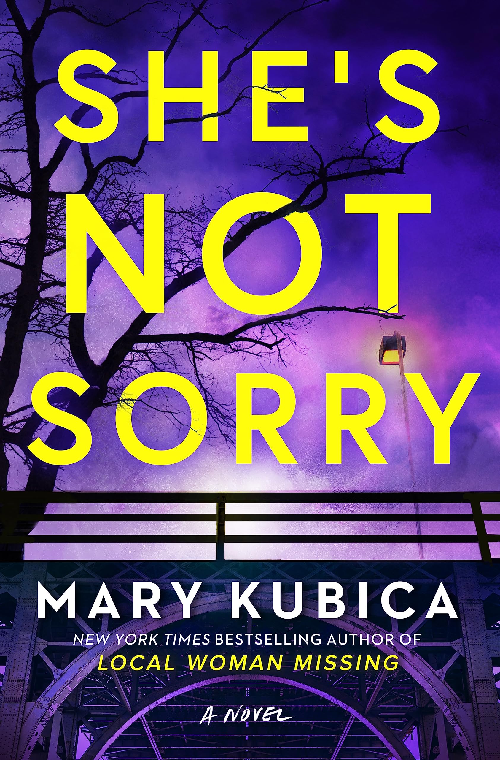 She's Not Sorry book cover
