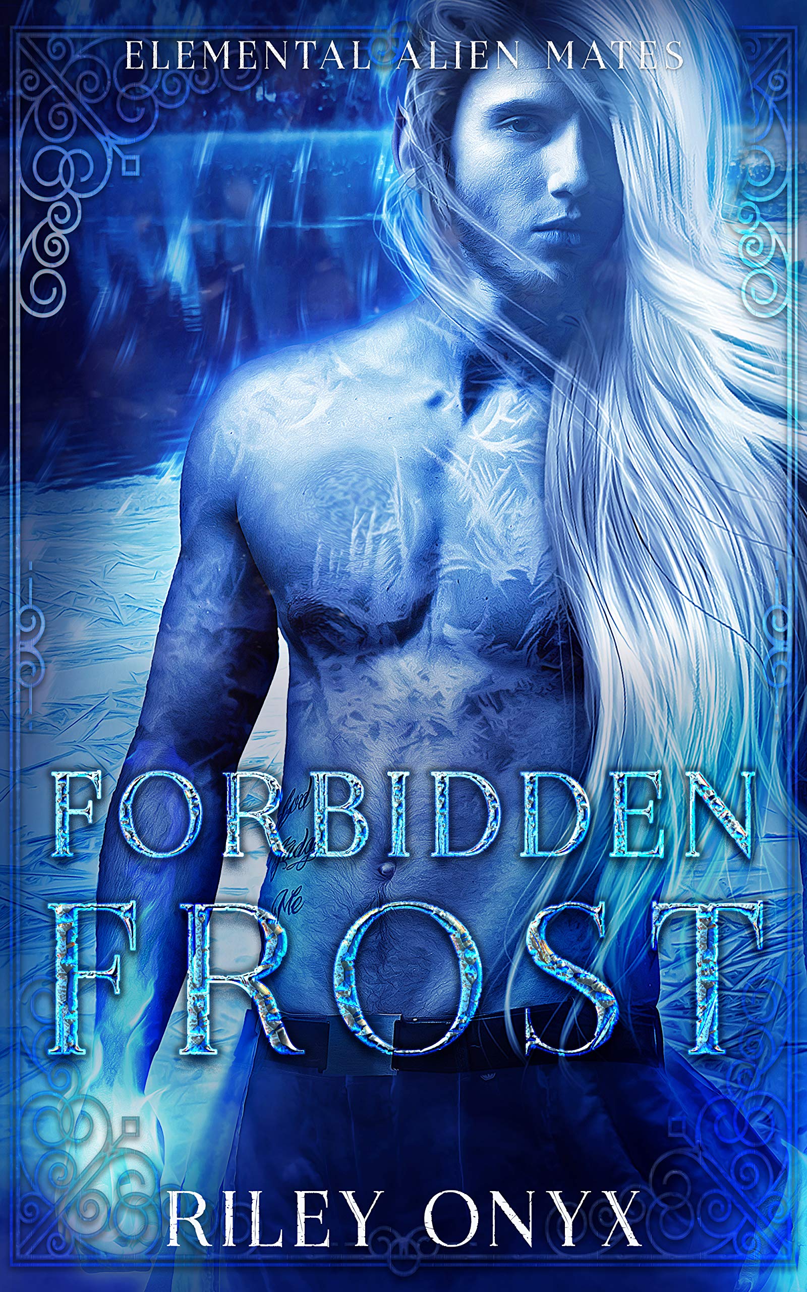 Forbidden Frost book cover