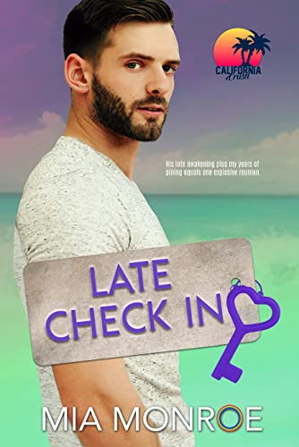 Late Check In book cover