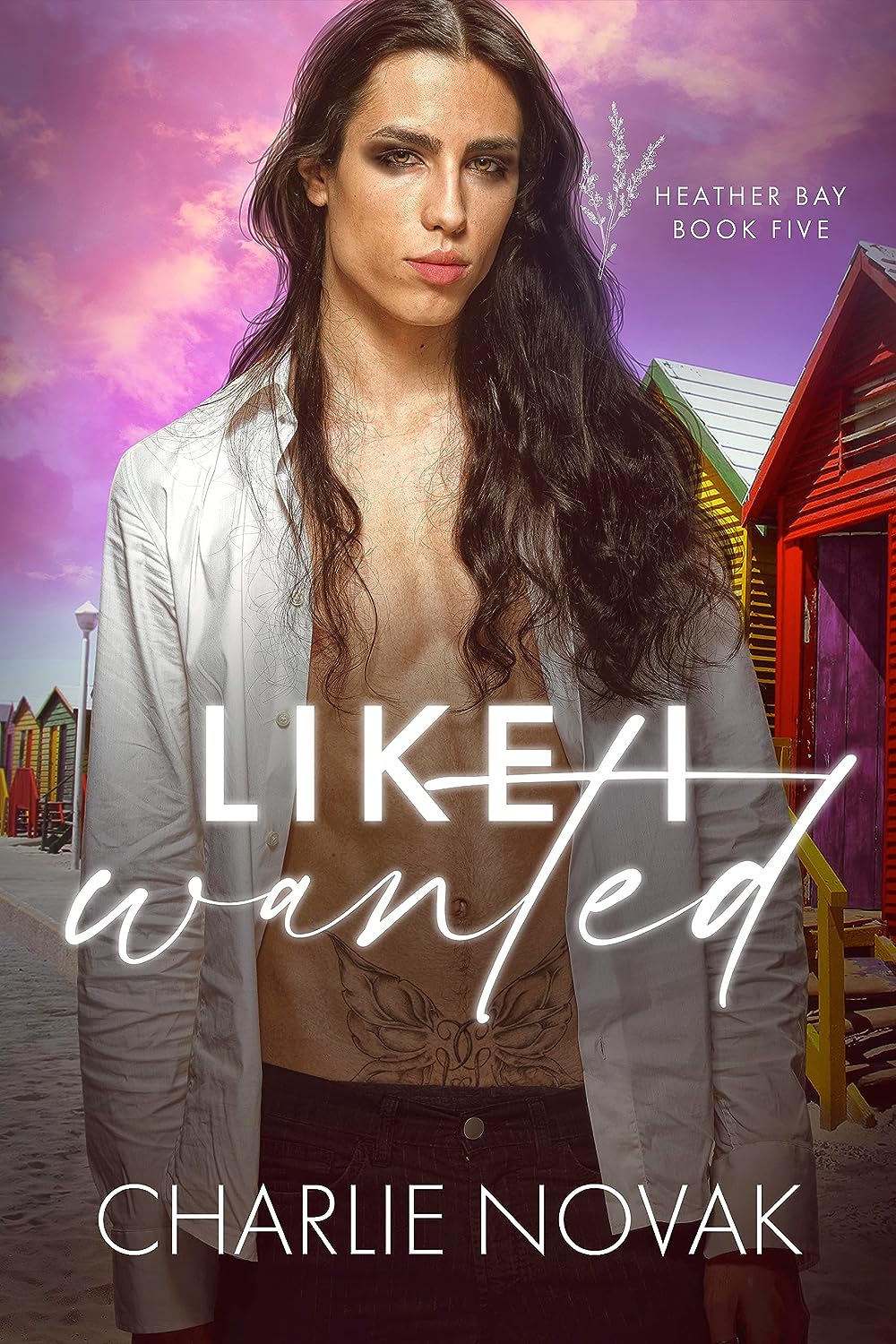 Like I Wanted book cover