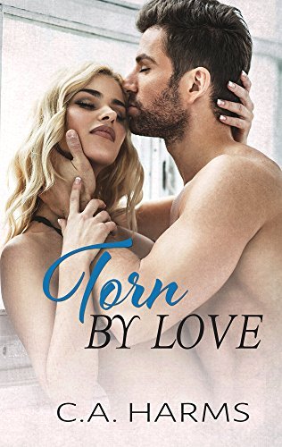 Torn by Love book cover