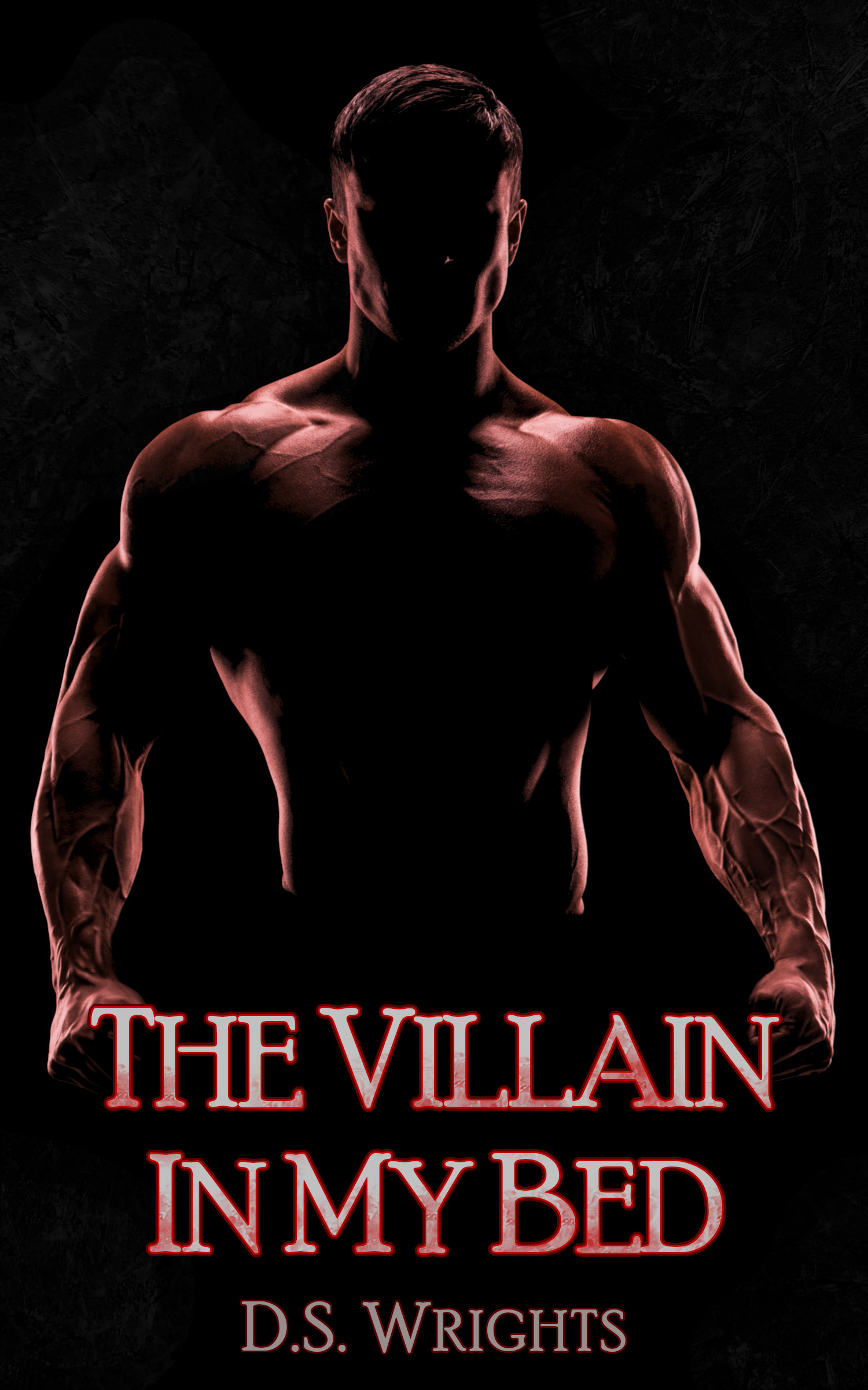 The Villain In My Bed book cover