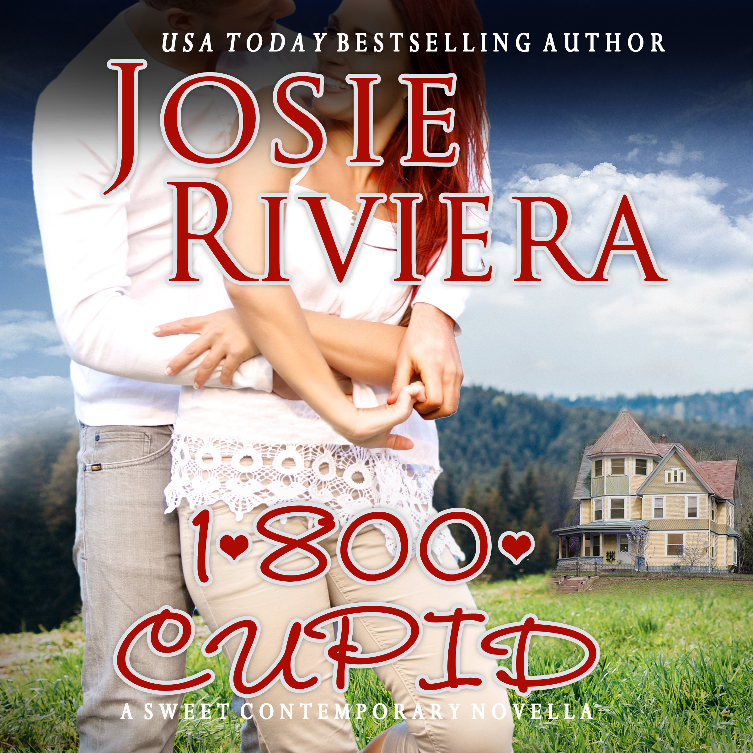 Flipping For You book cover 1