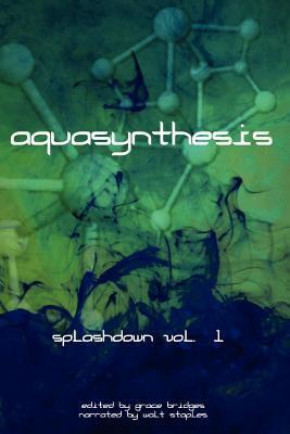 Splashdown book cover 1