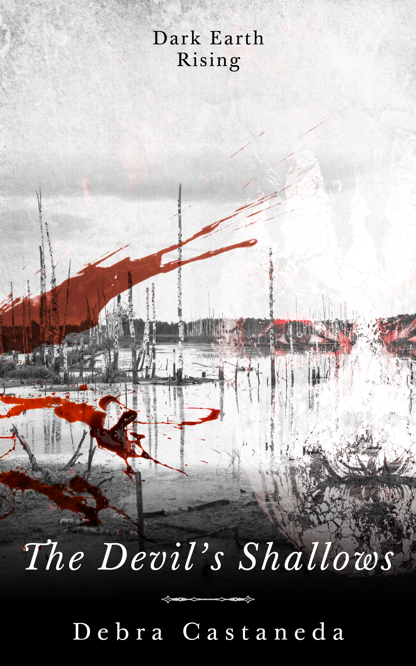 The Devil's Shallows book cover