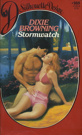 Stormwatch book cover