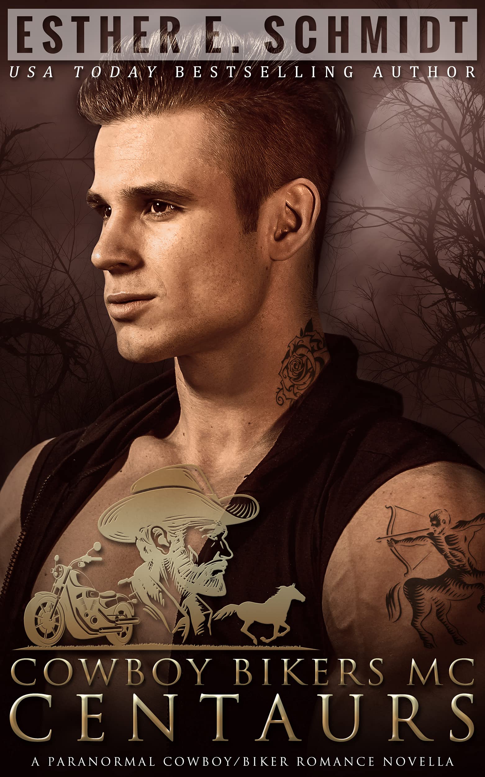 Cowboy Bikers MC book cover