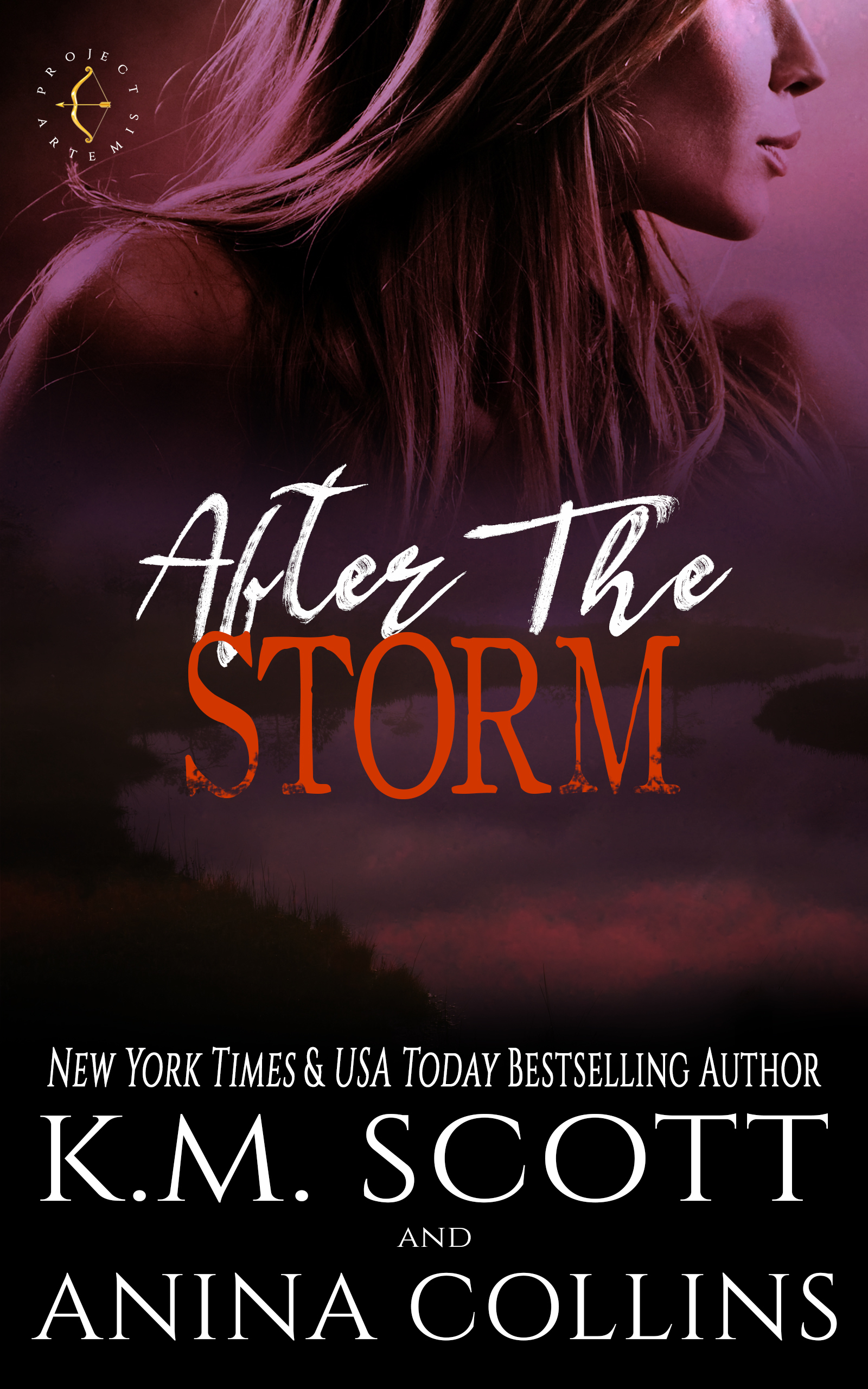 Project Artemis book cover 2
