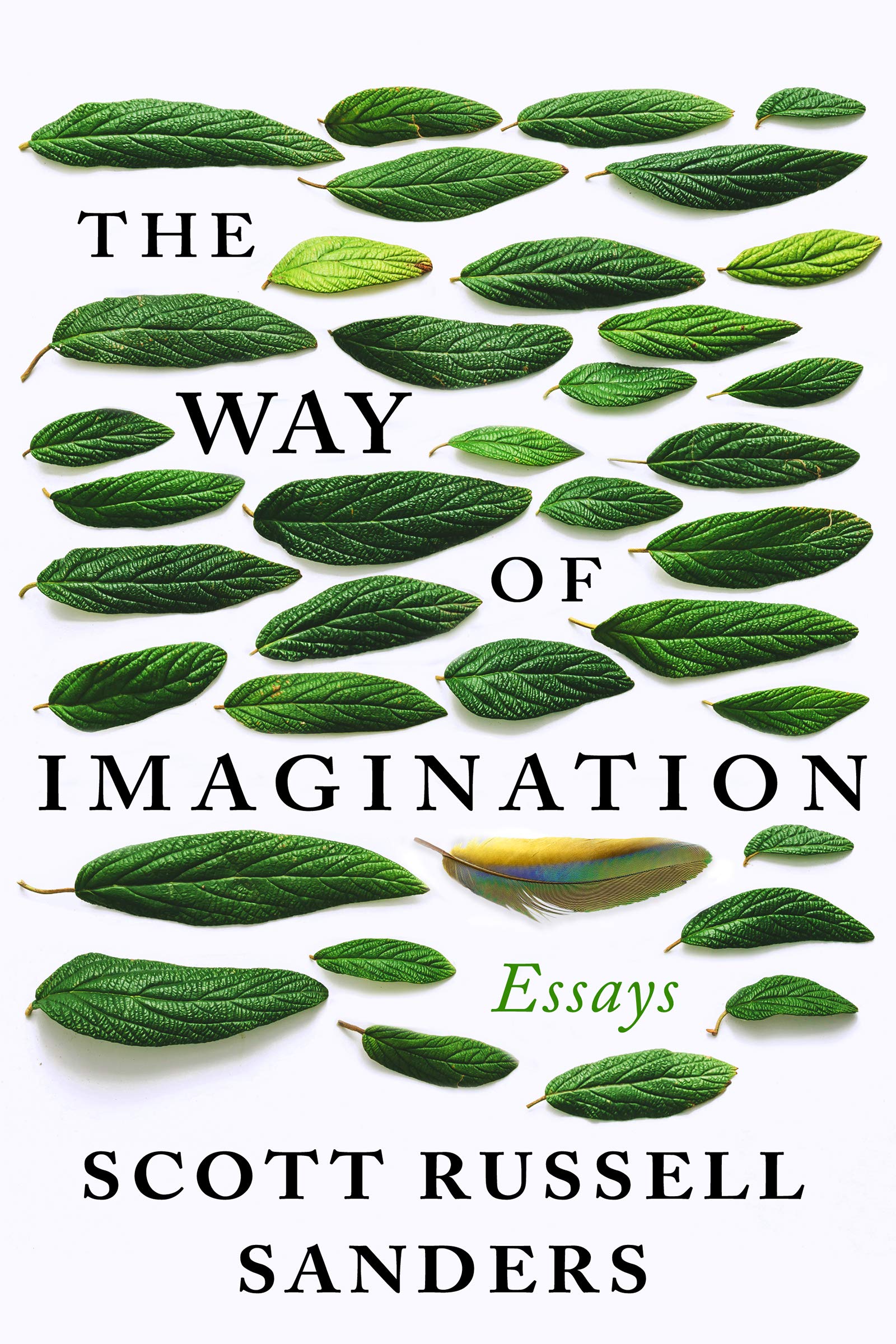 The Way of Imagination book cover