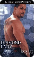 Diamond Lady book cover