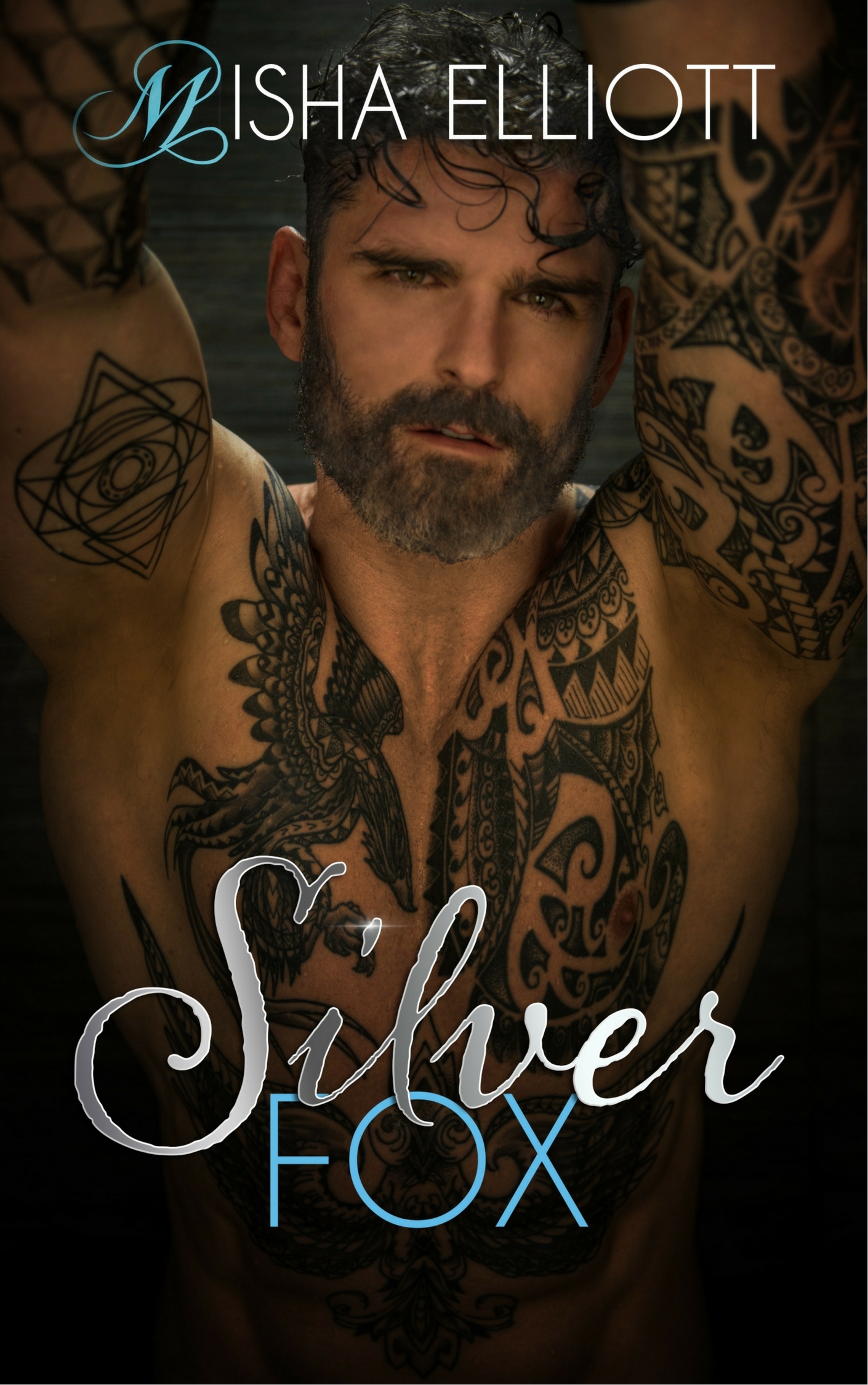 Silver Fox book cover
