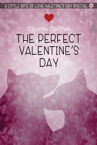 The Perfect Valentine's Day book cover
