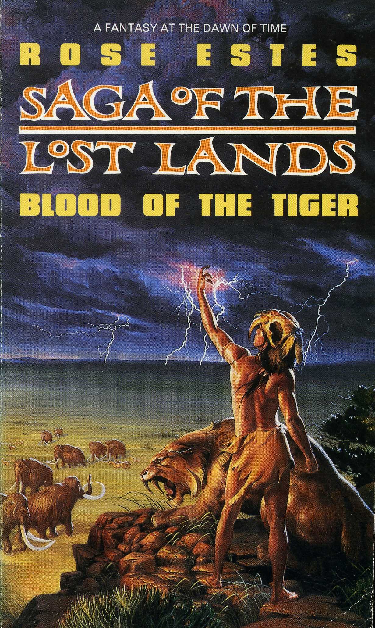 Saga of the Lost Lands book cover 1