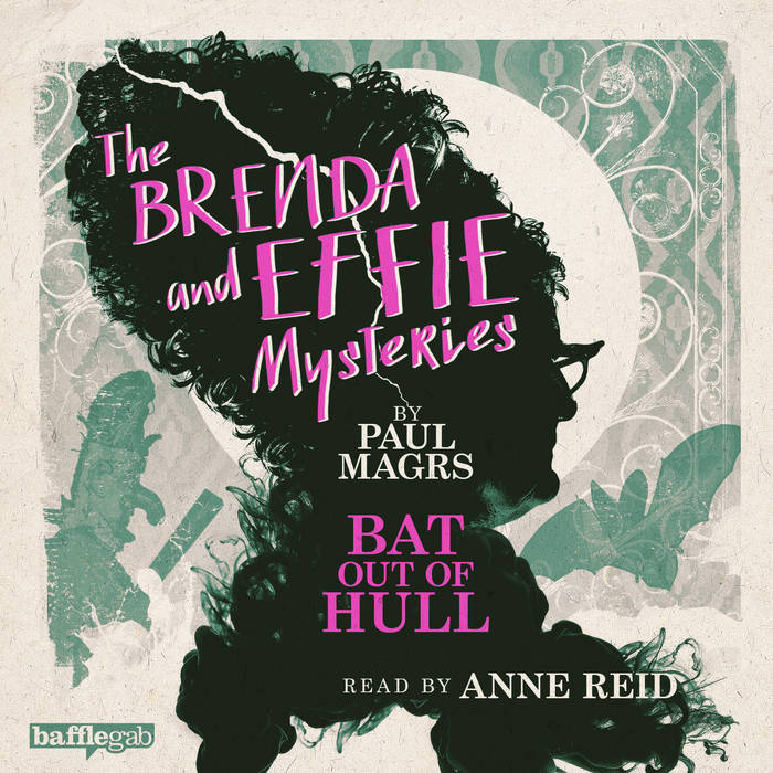 Bat Out Of Hull book cover