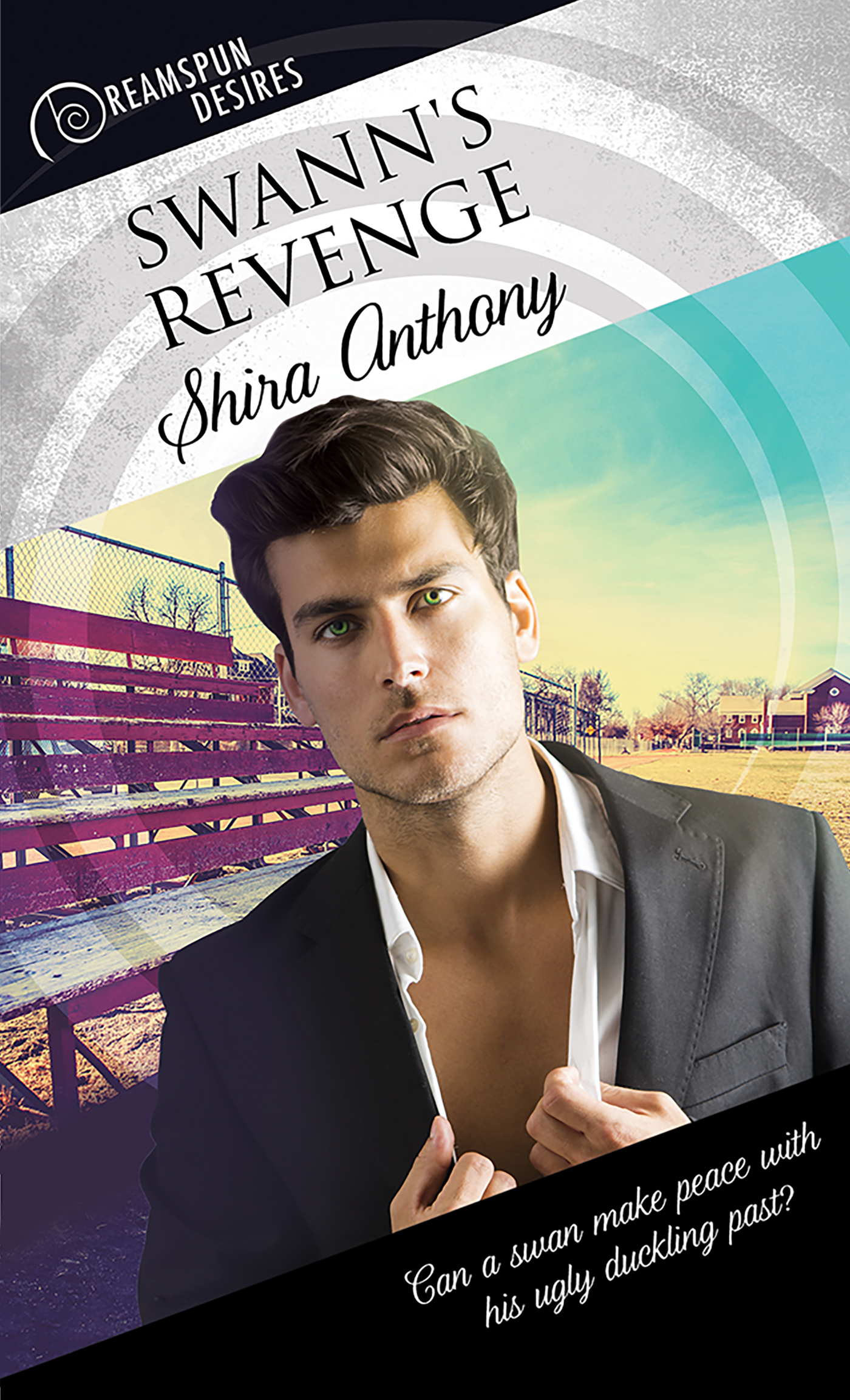 Swann's Revenge book cover