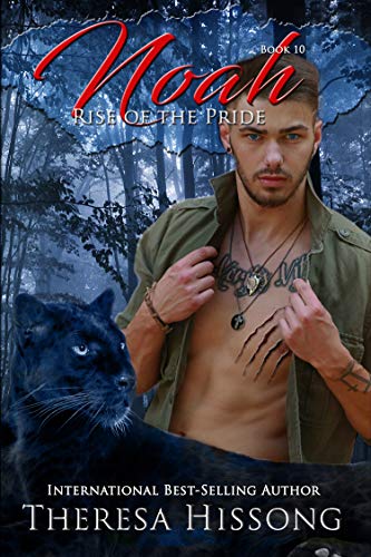 Noah book cover