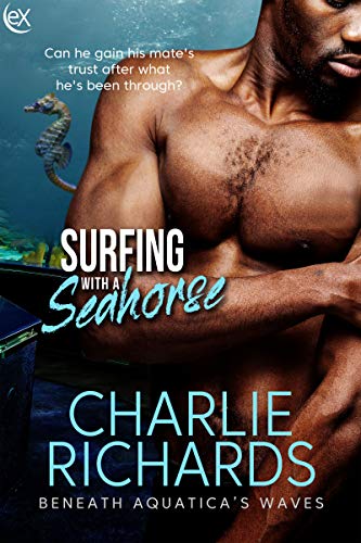 Surfing with a Seahorse book cover
