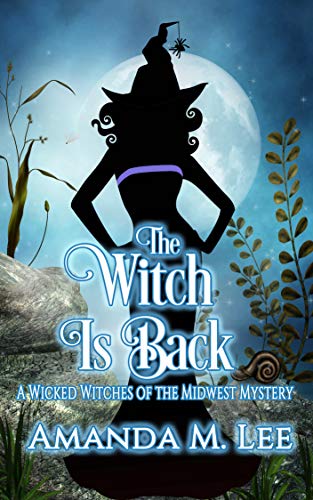 The Witch is Back book cover