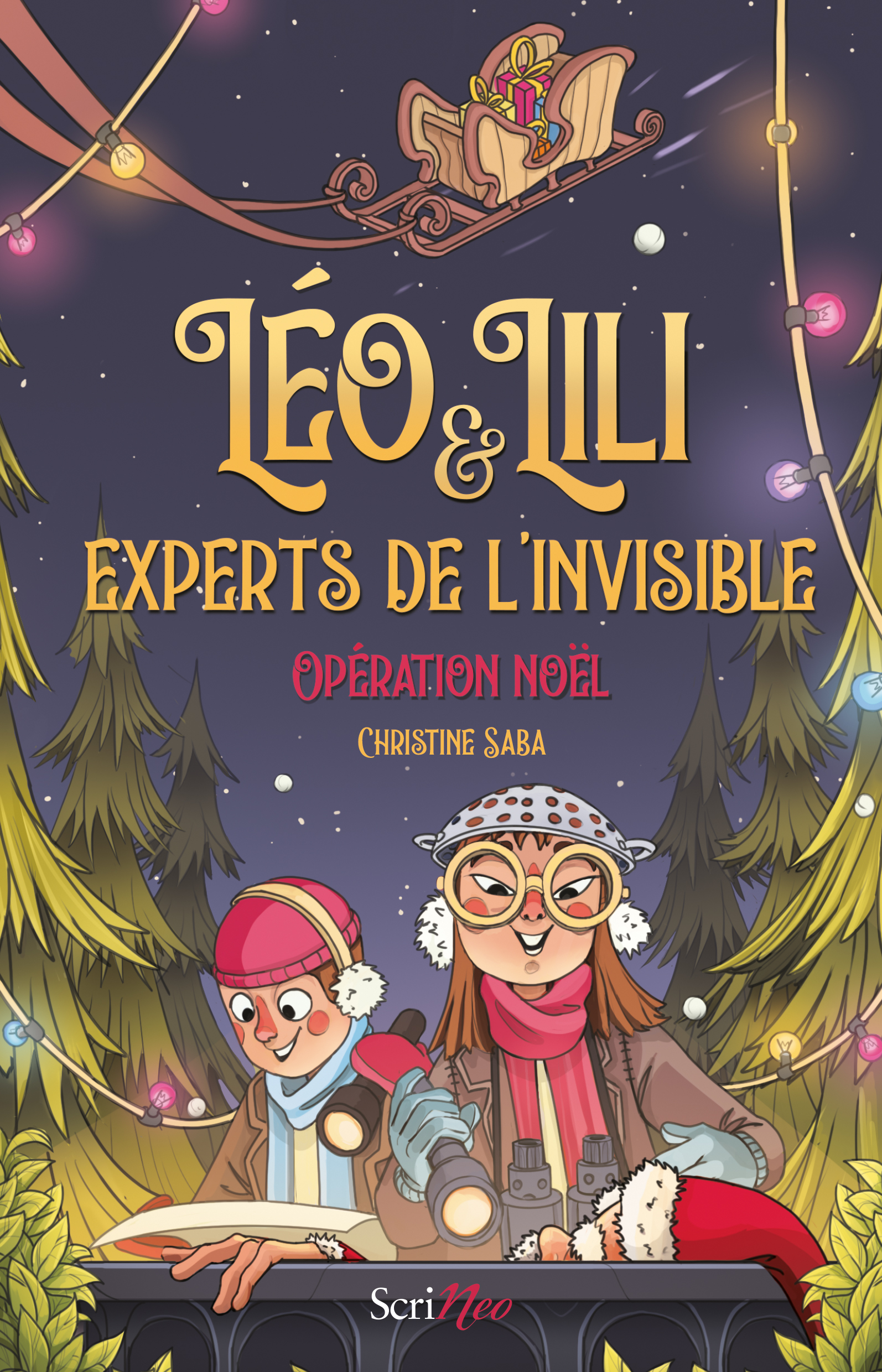 Léo et Lili experts de l'invisible book cover
