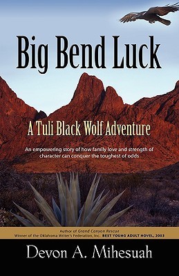 Big Bend Luck book cover