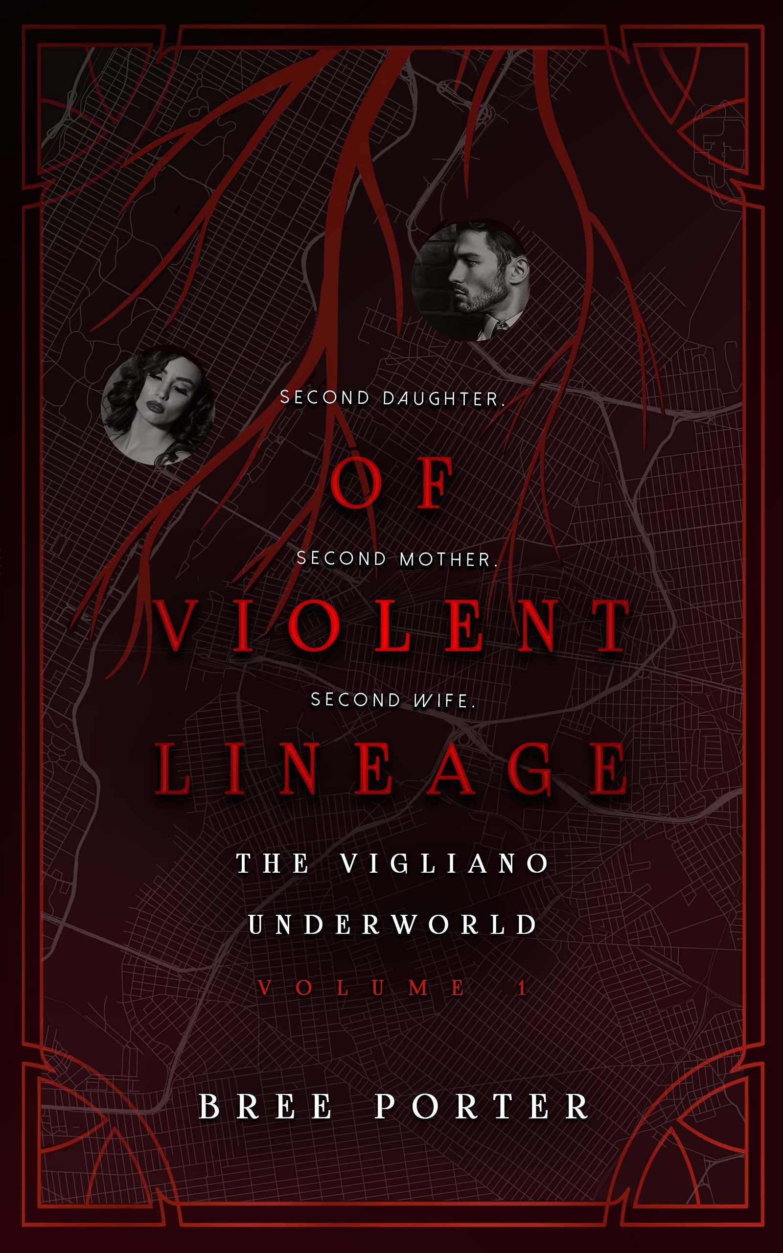 The Vigliano Underworld book cover 1