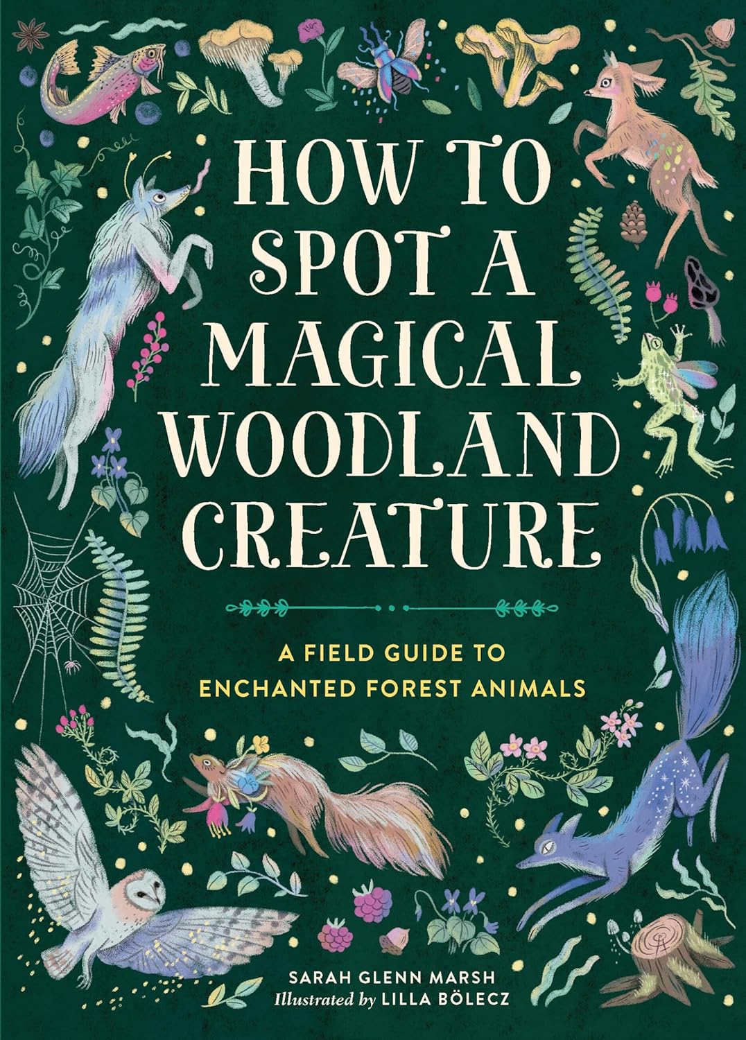How to Spot a Magical Woodland Creature book cover