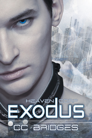Heaven Corp. book cover 2