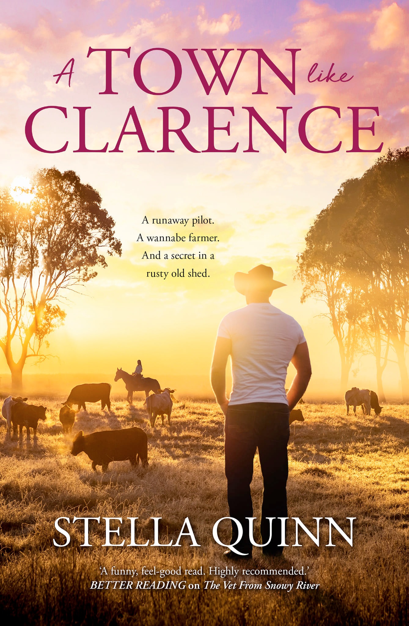 A Town Like Clarence book cover