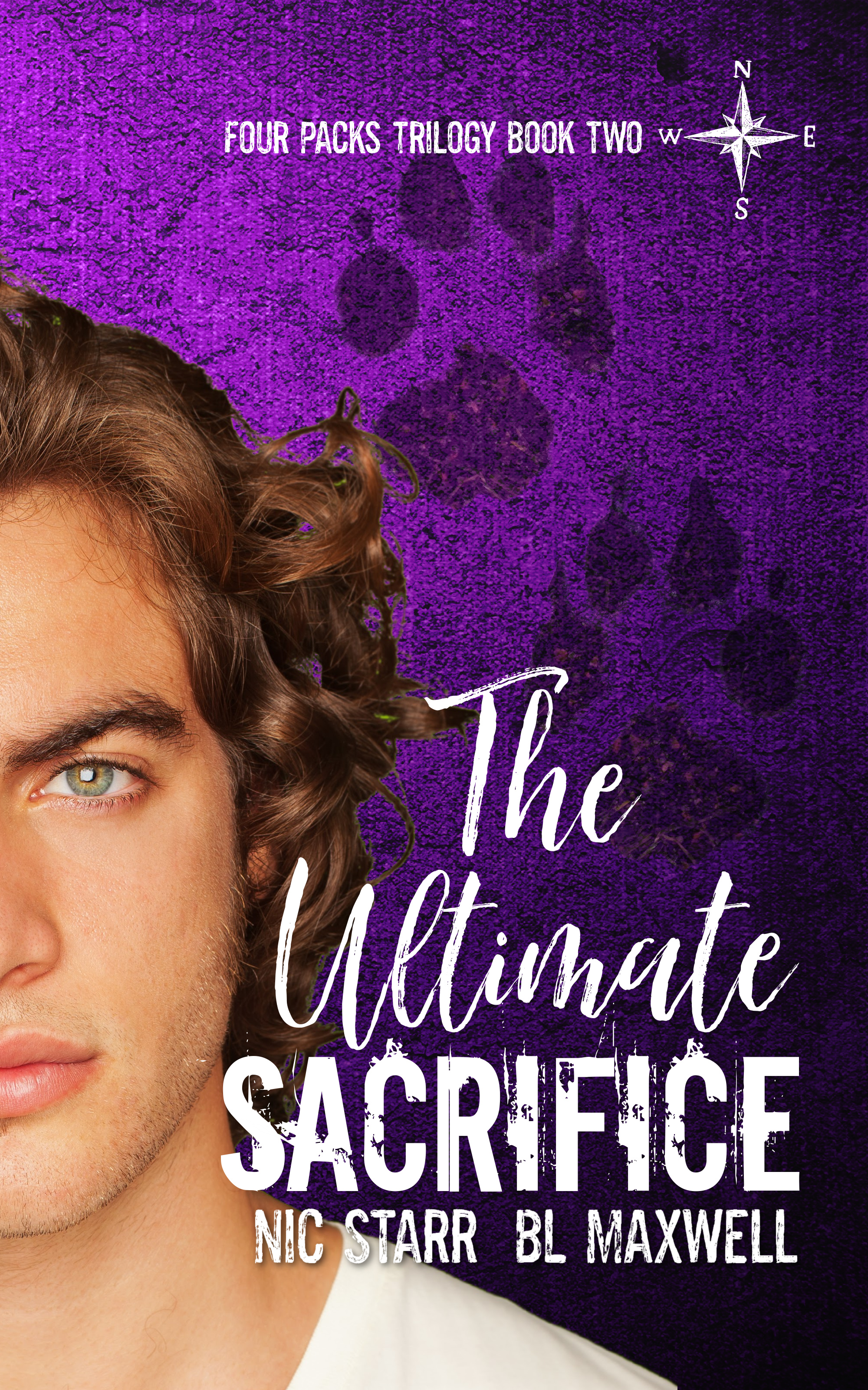 Four Packs book cover 2