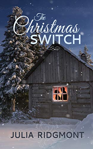 The Christmas Switch book cover