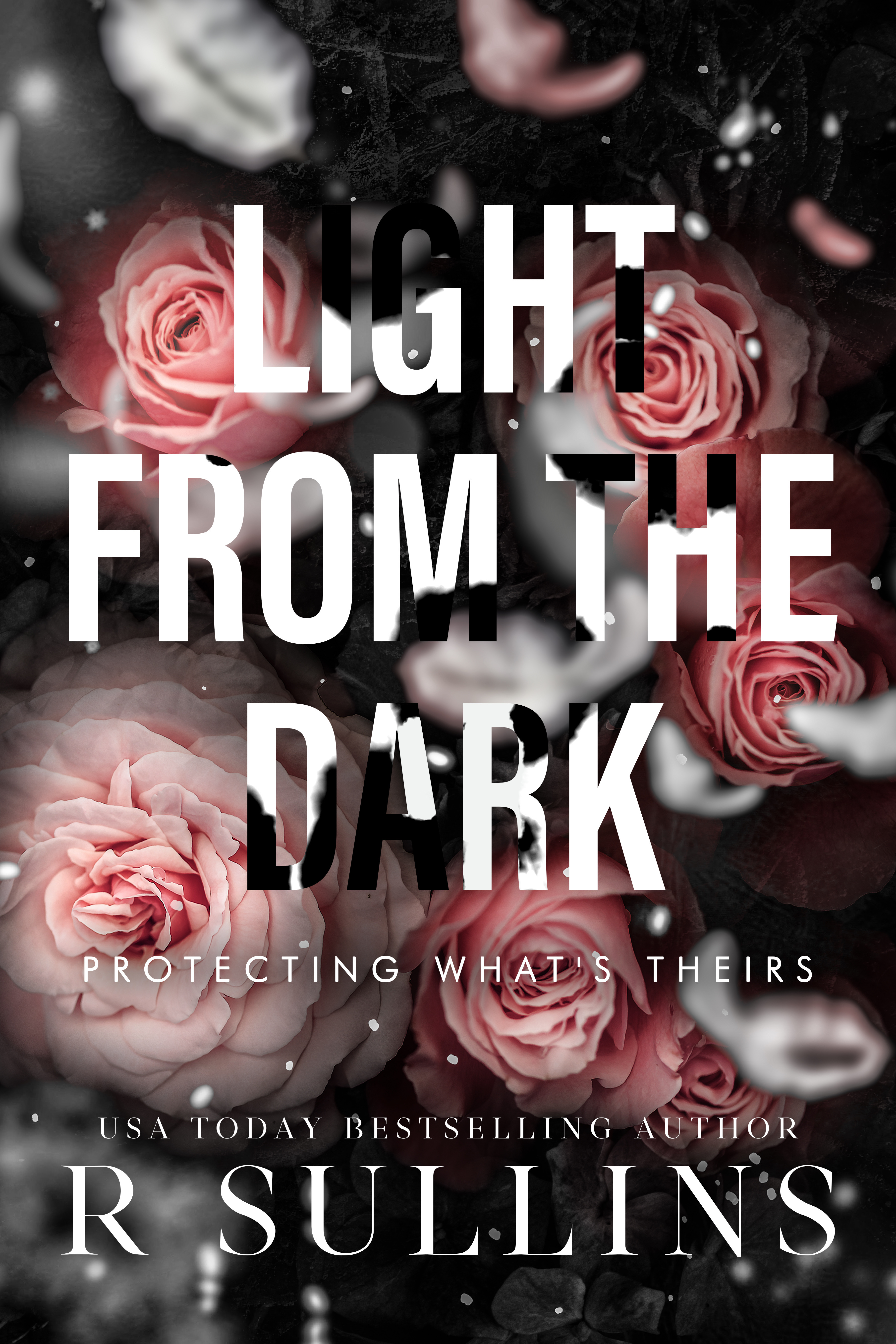 Light From The Dark book cover