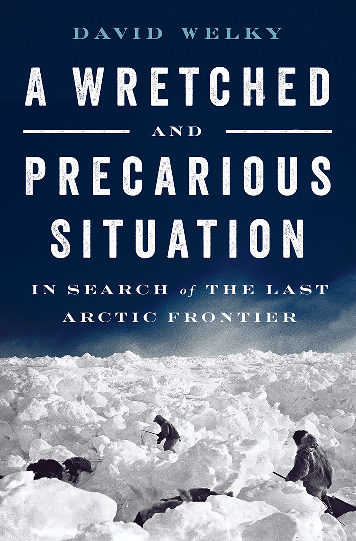 A Wretched and Precarious Situation book cover