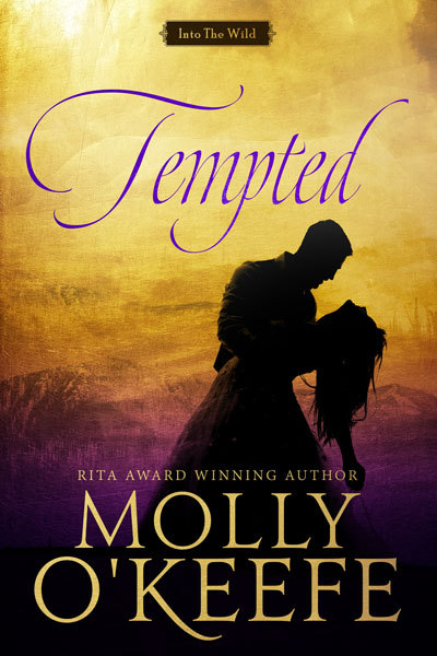 Into the Wild book cover 2