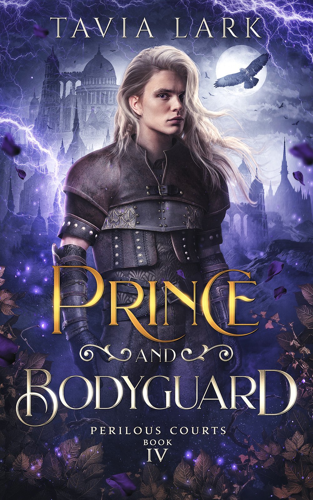 Prince and Bodyguard book cover