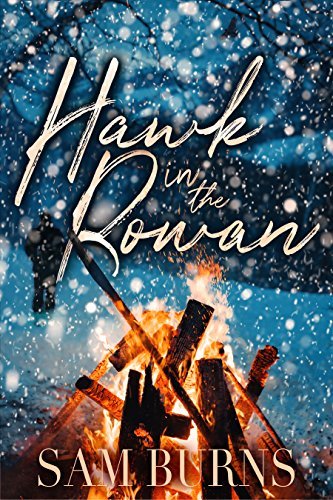 Hawk in the Rowan book cover