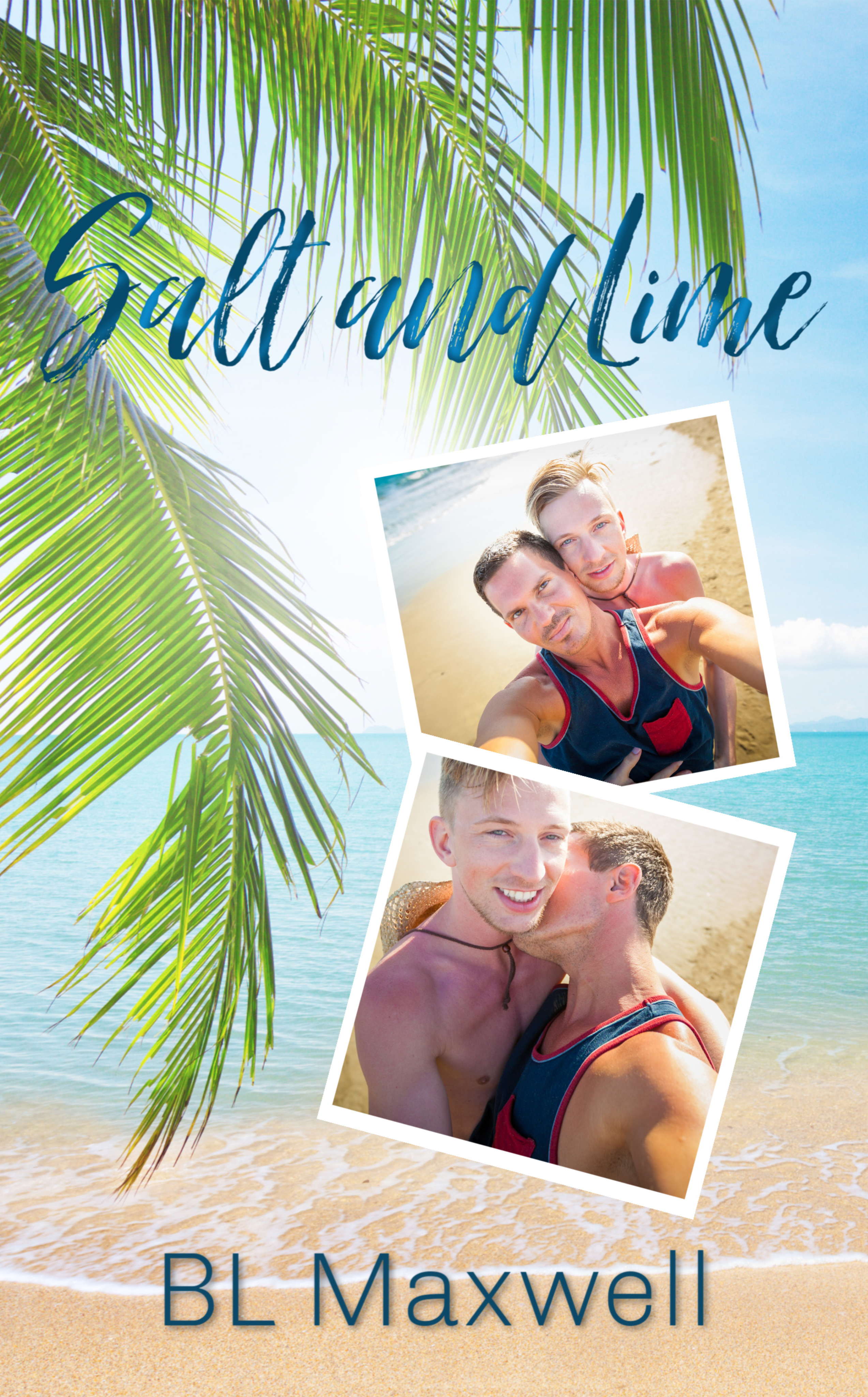 Salt and Lime book cover