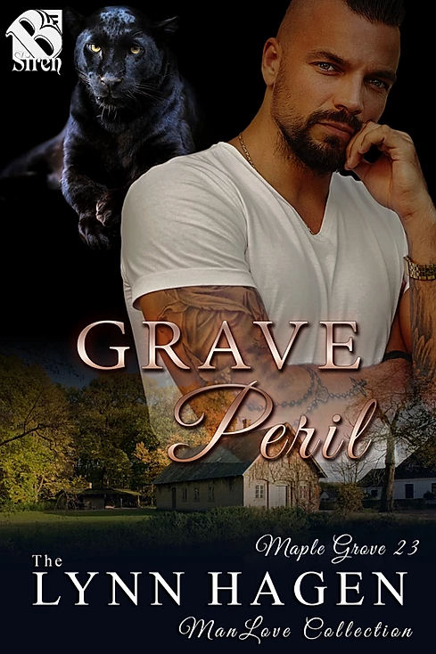 Grave Peril book cover