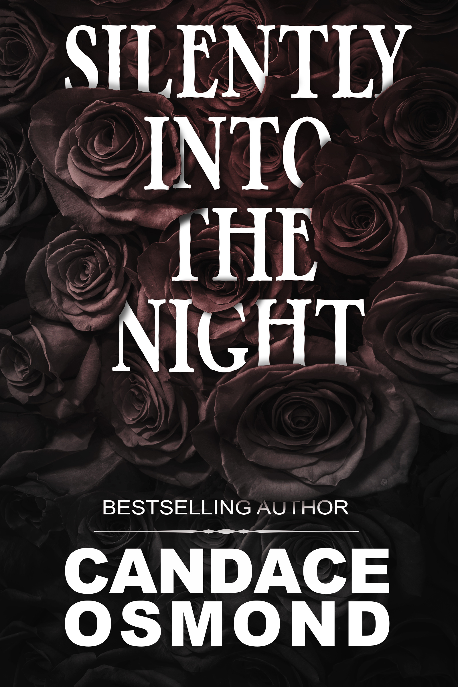 Silently into the Night book cover